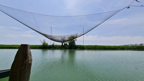 Fischnetz zum Hochziehen am Fluss Stella in Norditalien.